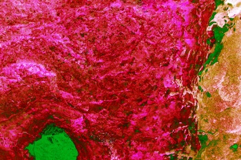 AP 118A1